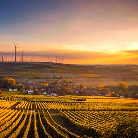 Agroland (AG) se luptă să livreze ceea ce promite - poate să vină cu un T3 pe profit?