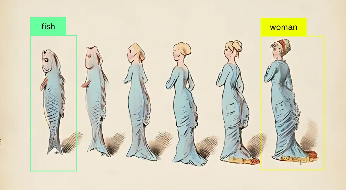 Illustration showing a sequence of six figures transitioning from a fish-like form into a woman. The leftmost figure resembles a standing fish with scales and fins, while each subsequent figure becomes progressively more human in shape and posture. The final figure on the right is a woman in a long blue dress with her hair tied up and a headband. Colored boxes highlight the first figure with the label “fish” and the last figure with the label “woman.” The background is plain beige with sketch-style shading beneath each figure.