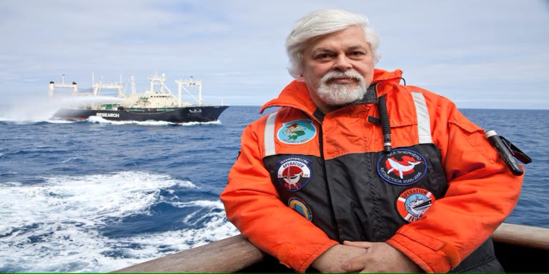 Marine Protector Under Pressure From Japan Vows to Continue His Work