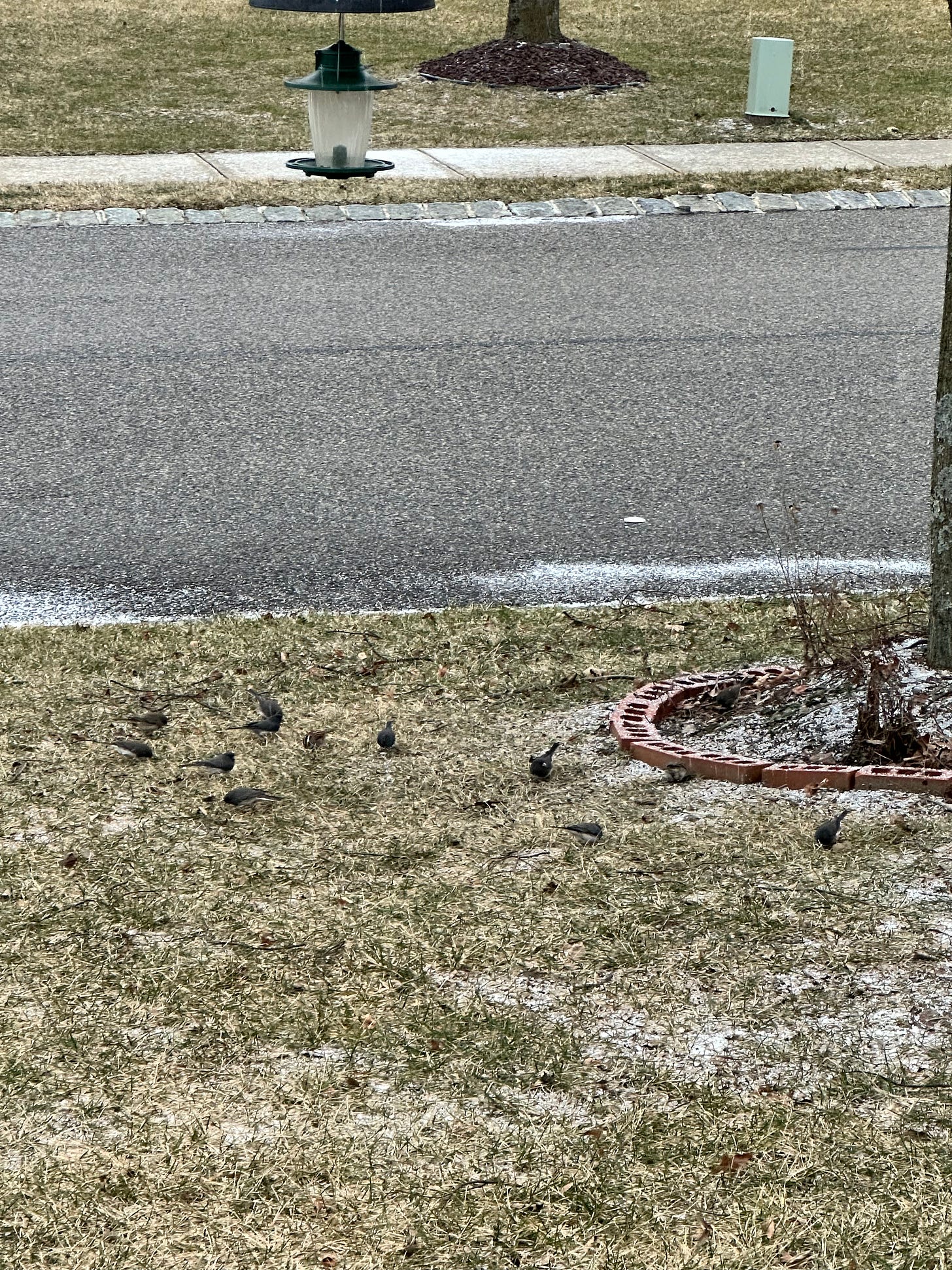 a light dusting of snow on the curb of a suburban street