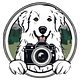 Cameras and Canines