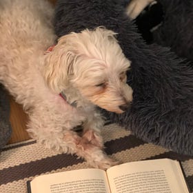 August 2021 Reading Round-Up