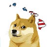 Doge in Hawaii