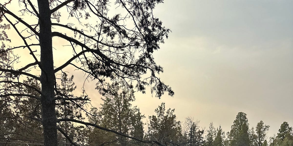 Oregon Progressive policies just went up in smoke