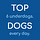 Top Dogs