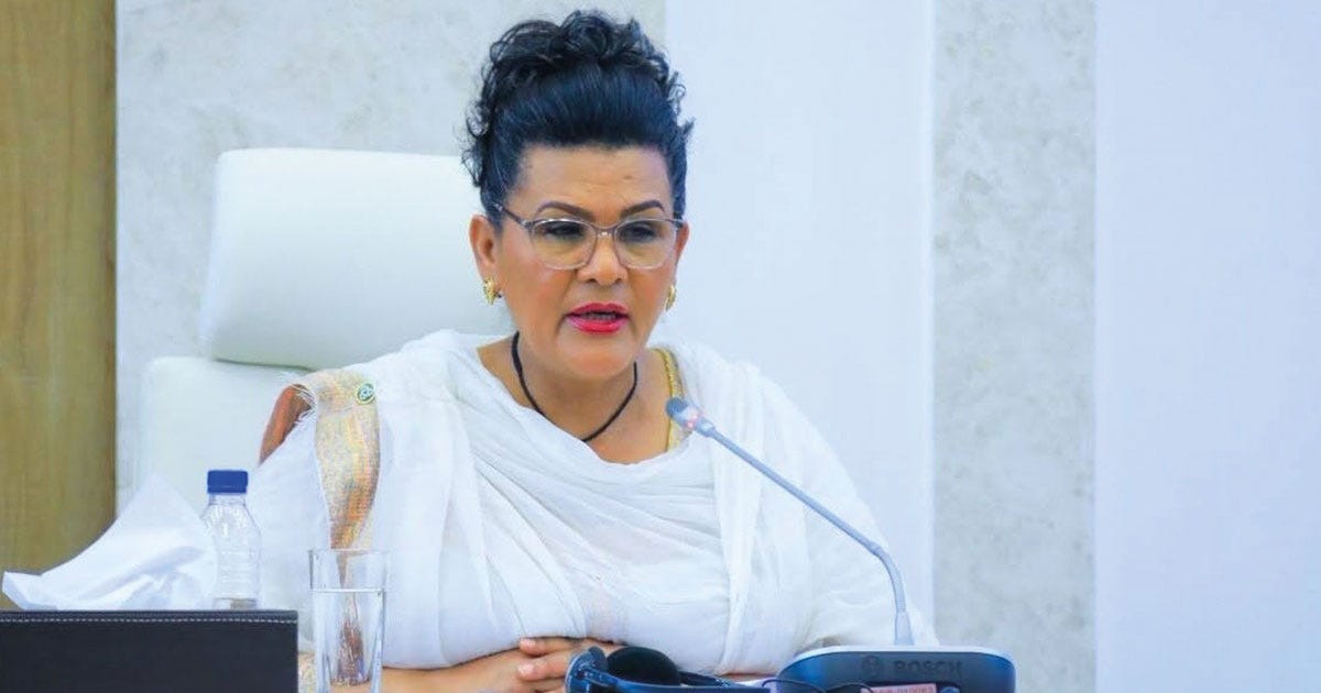 Federal Audit Pitfalls Continue, MPs Urge Better Budget Management | The  Reporter Ethiopia