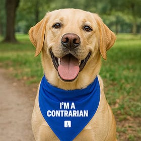 New Contrarian Merch!