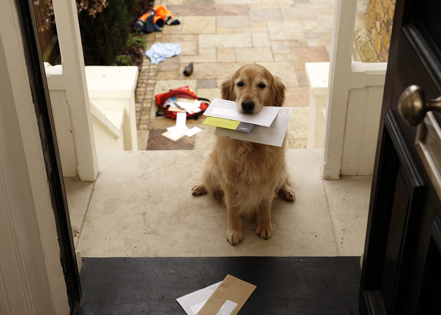 Dog and Mailman's Touching Bond Moves People to Tears: 'Best Friends for 16  Years' - Newsweek