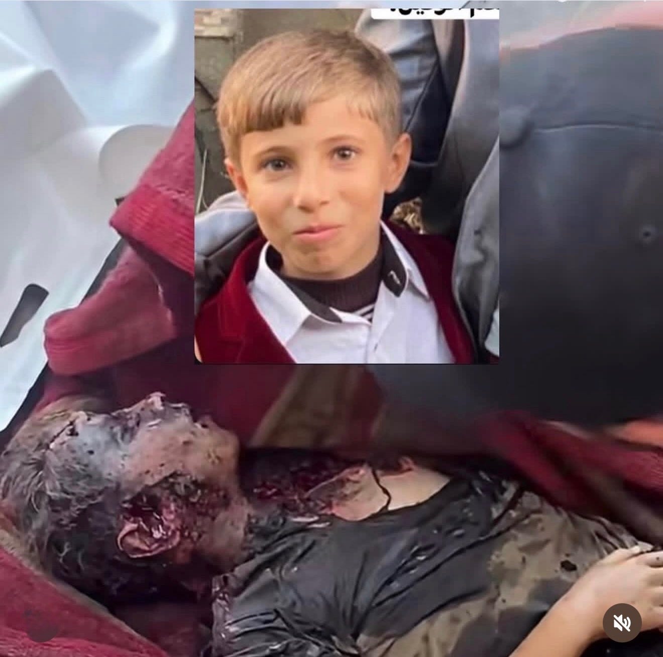 Israel kills 17 Palestinians in 2 days as genocidal assault accelerates despite Hamas’s disarmament overtures - Palestine Will Be Free