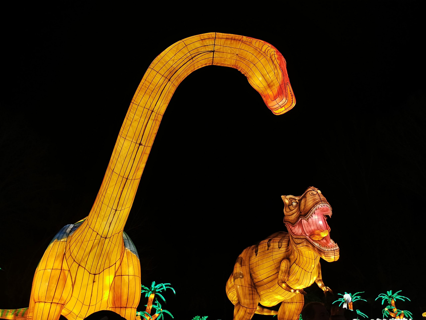 Gaillac Lantern Festival