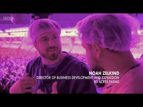 80 Acres Farms: BBC Follow the Food: Future Farms