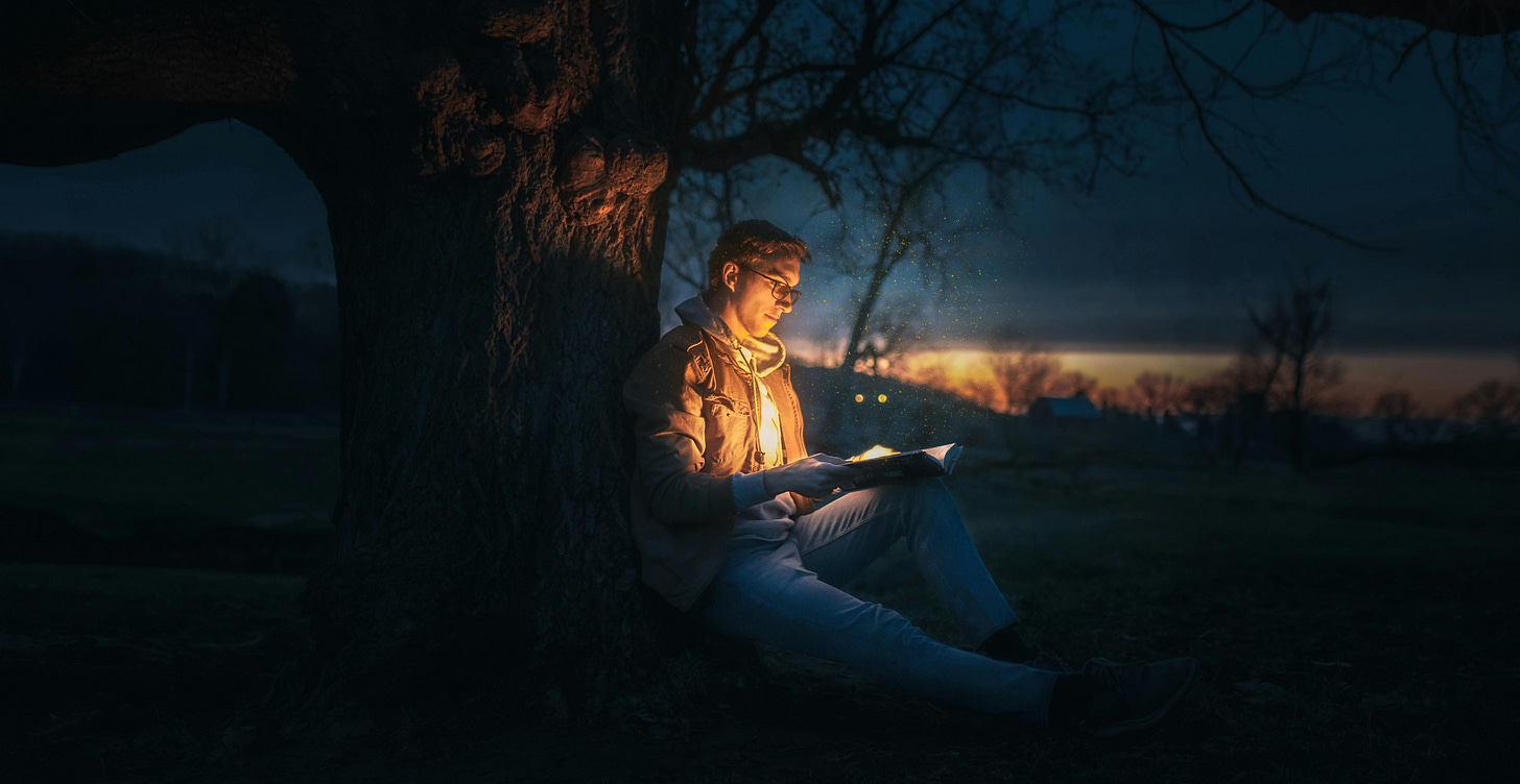 Founder sitting under a tree at sunset, reading a glowing book — symbolizing the light and ideas that emerge when you share your perspective with the world.
