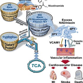 Bad Science Journalism- Niacin and the risk of MACE