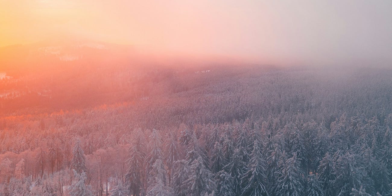 Lesson 74 - 1 John 3:1...that we should be called children of God. And that is what we are!...