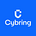 Cybring's avatar