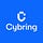 Cybring’s Substack