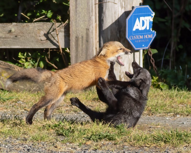 20250610-SJI3-552-Edit.jpg 20250610-SJI3-552-Edit.jpg