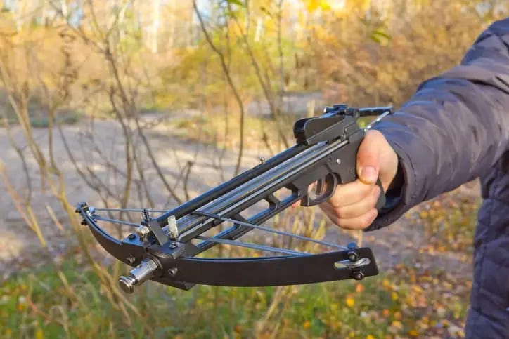 Crossbows vs Compound Bows - Pros and Cons - The Complete Guide to Archery