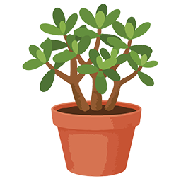 Diary of a Recovering Shopaholic