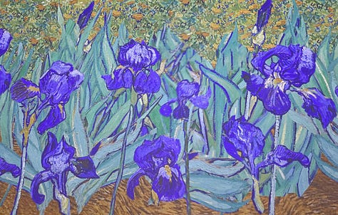 Van Gogh 360