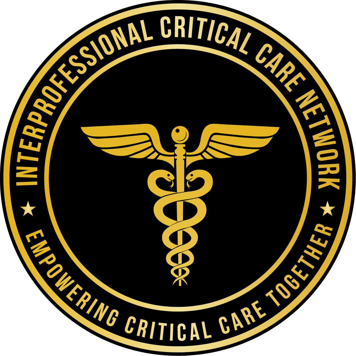 Interprofessional Critical Care Network (ICCN) logo