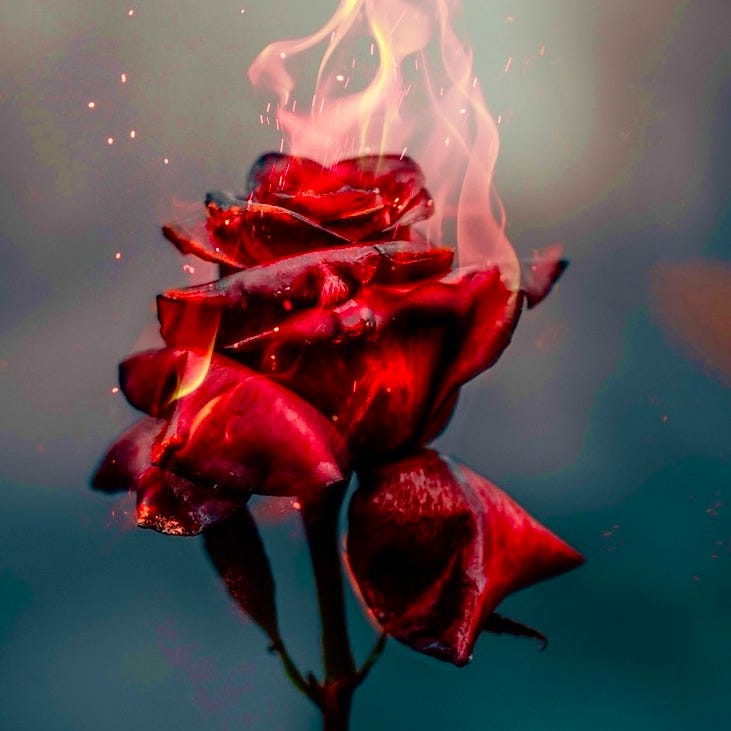 NSFW: Naughty SMUT For Women