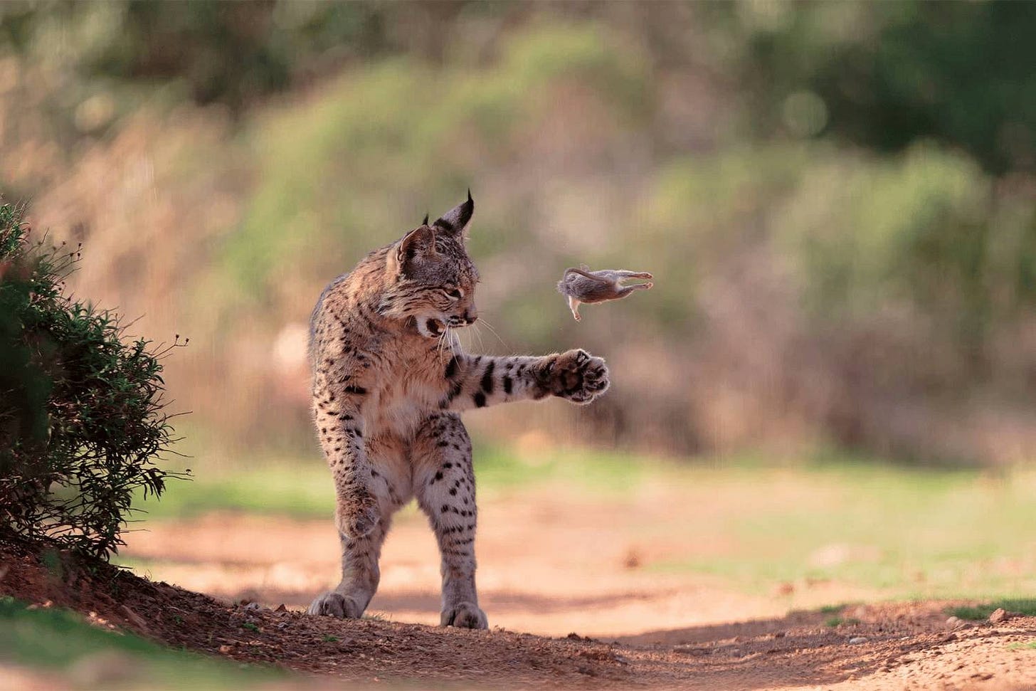 Вот этот снимок получил «выбор зрителей»