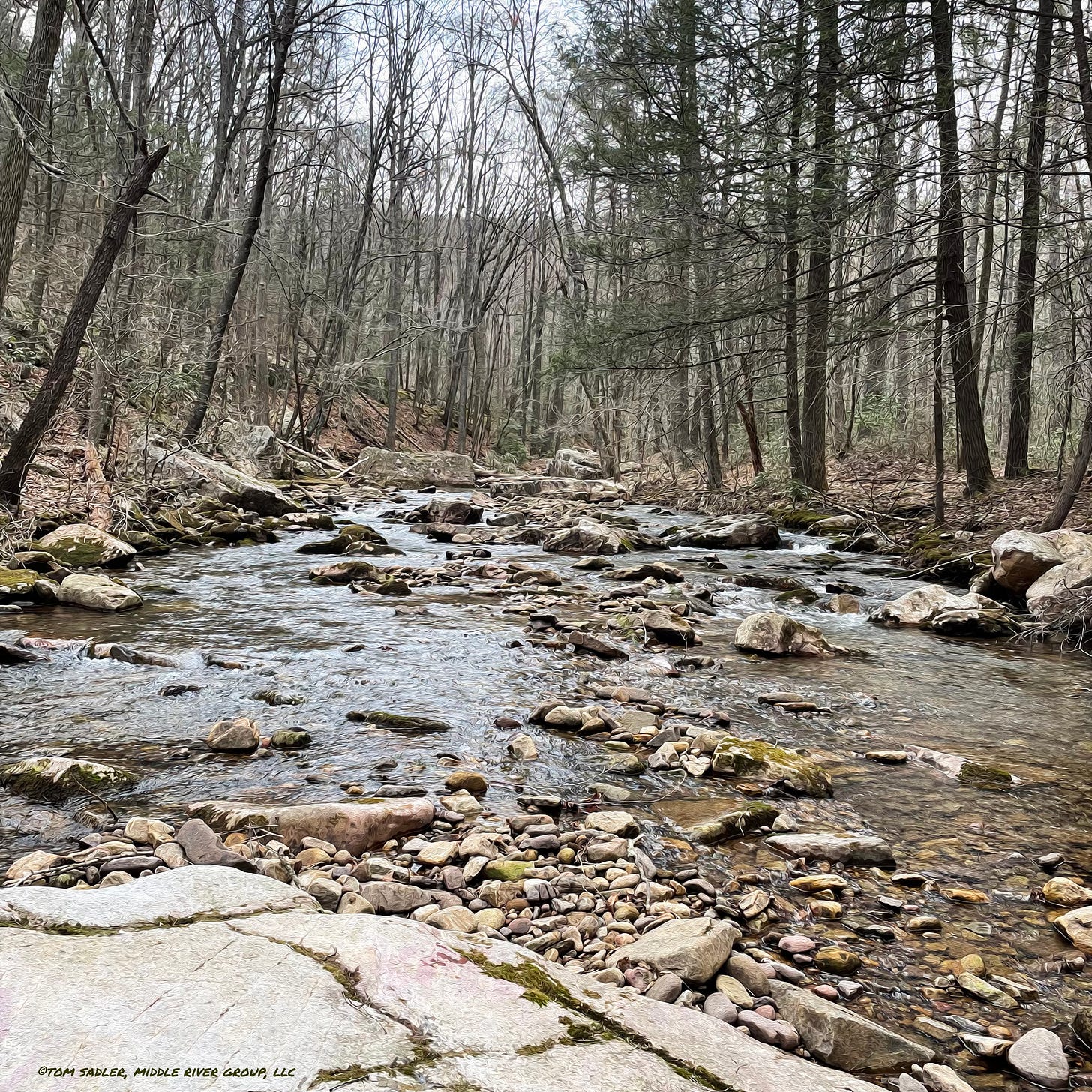 A rendering of a Virginia mountain stream in late March 2025