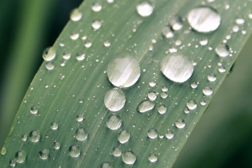 Clarity is the grandmaster of your writing