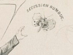 The Secession Humbug butterfly
