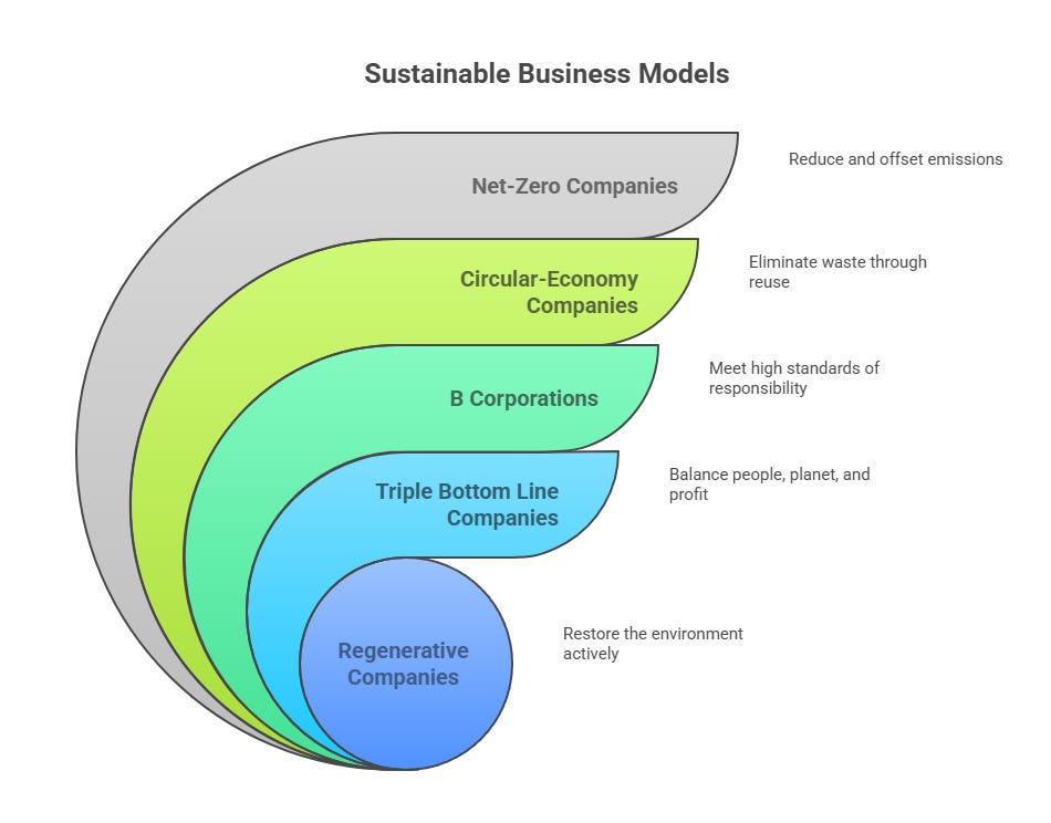 Visual chart showing five nested layers representing sustainable business models, from most proactive to more standard: Regenerative Companies (restore the environment), Triple Bottom Line Companies (balance people, planet, and profit), B Corporations (meet high standards), Circular-Economy Companies (eliminate waste through reuse), and Net-Zero Companies (reduce and offset emissions).