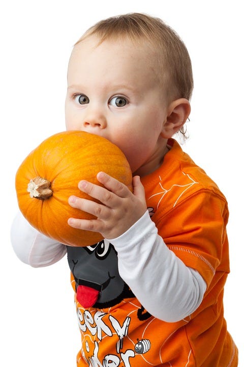 child biting into a pumpkin child biting into a pumpkin