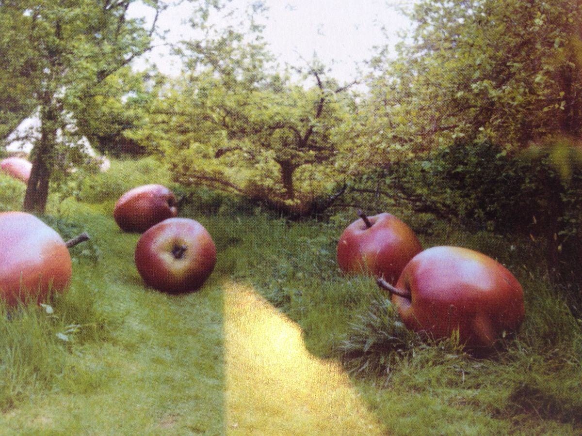 May be an image of apple May be an image of apple