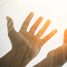Forgiveness from the Gut