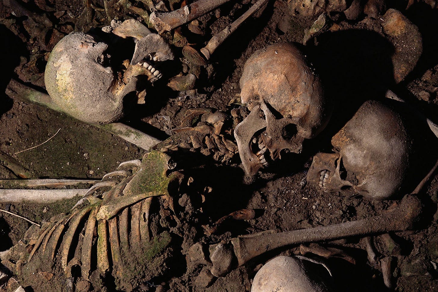 An archaeological dig site, with exposed skeletons and skulls.