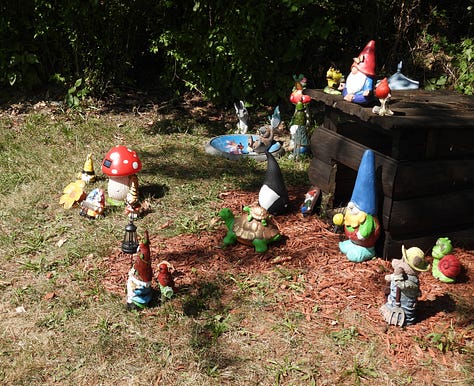 Gnometon pool party