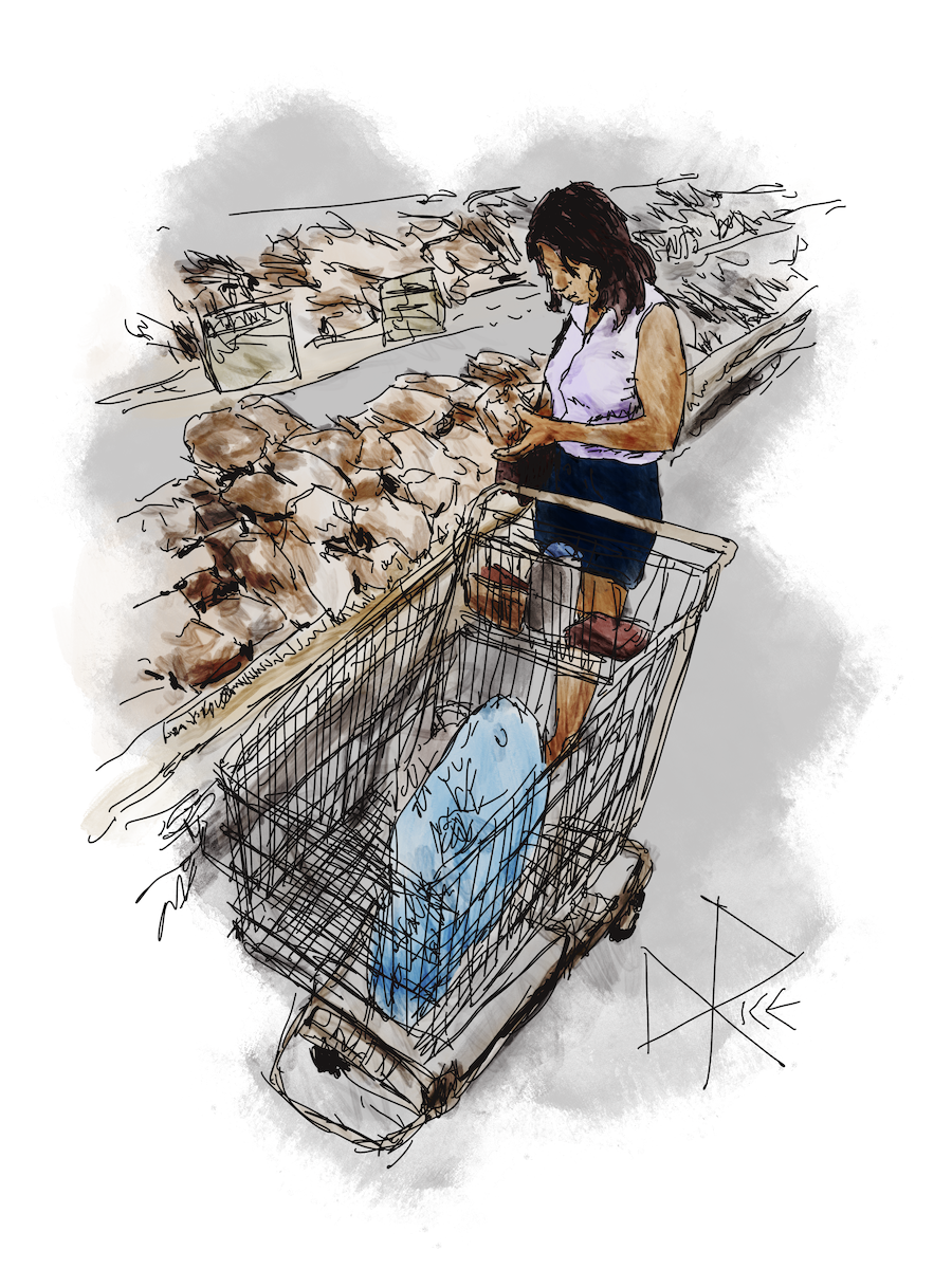 After parking her shopping cart in the meat aisle, an omnivorous woman stands at the pushing end of the partially loaded cart as she inspects the cut of beef that she is holding in her hands. Sketch art by Don Rice.
