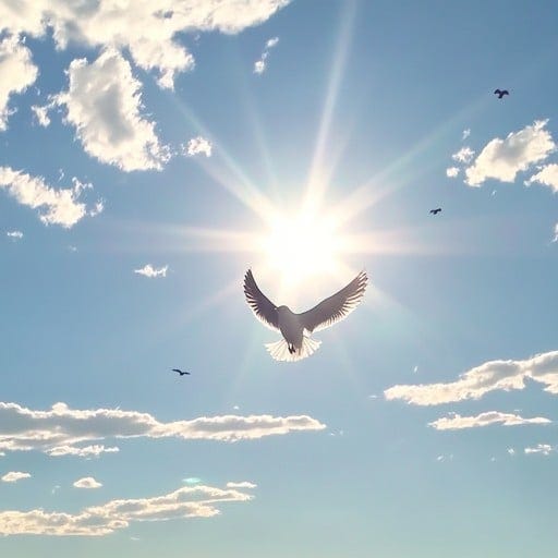 Free Soaring Bird Silhouette Image | Download at StockCake