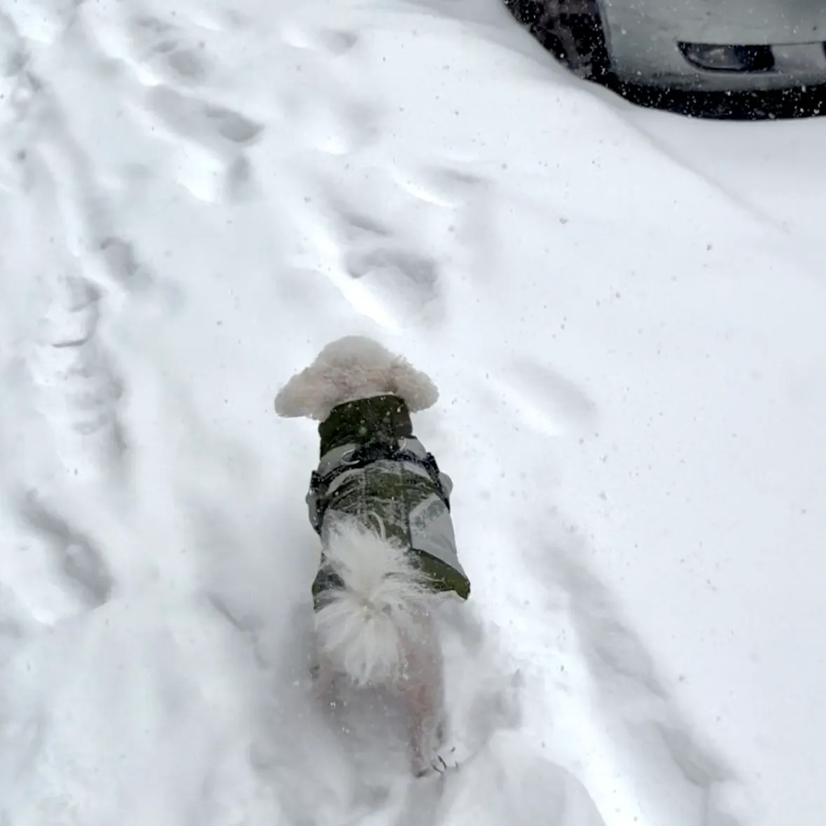 Rediscovery While Staying Warm in the Cold