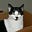 John's avatar