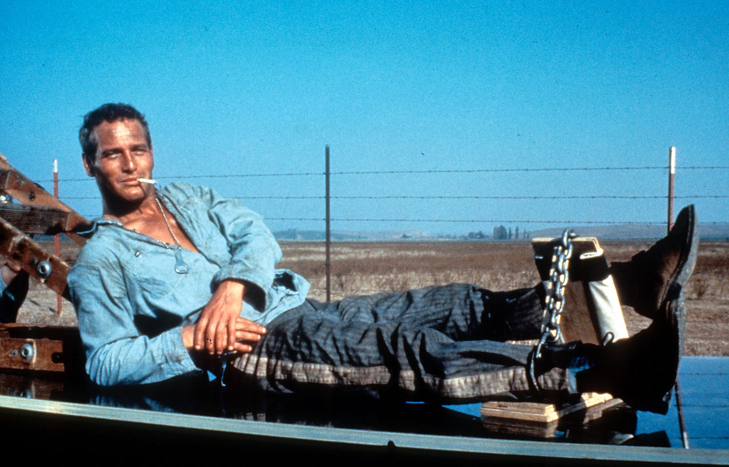 Cool Hand Luke (1967) - IMDb