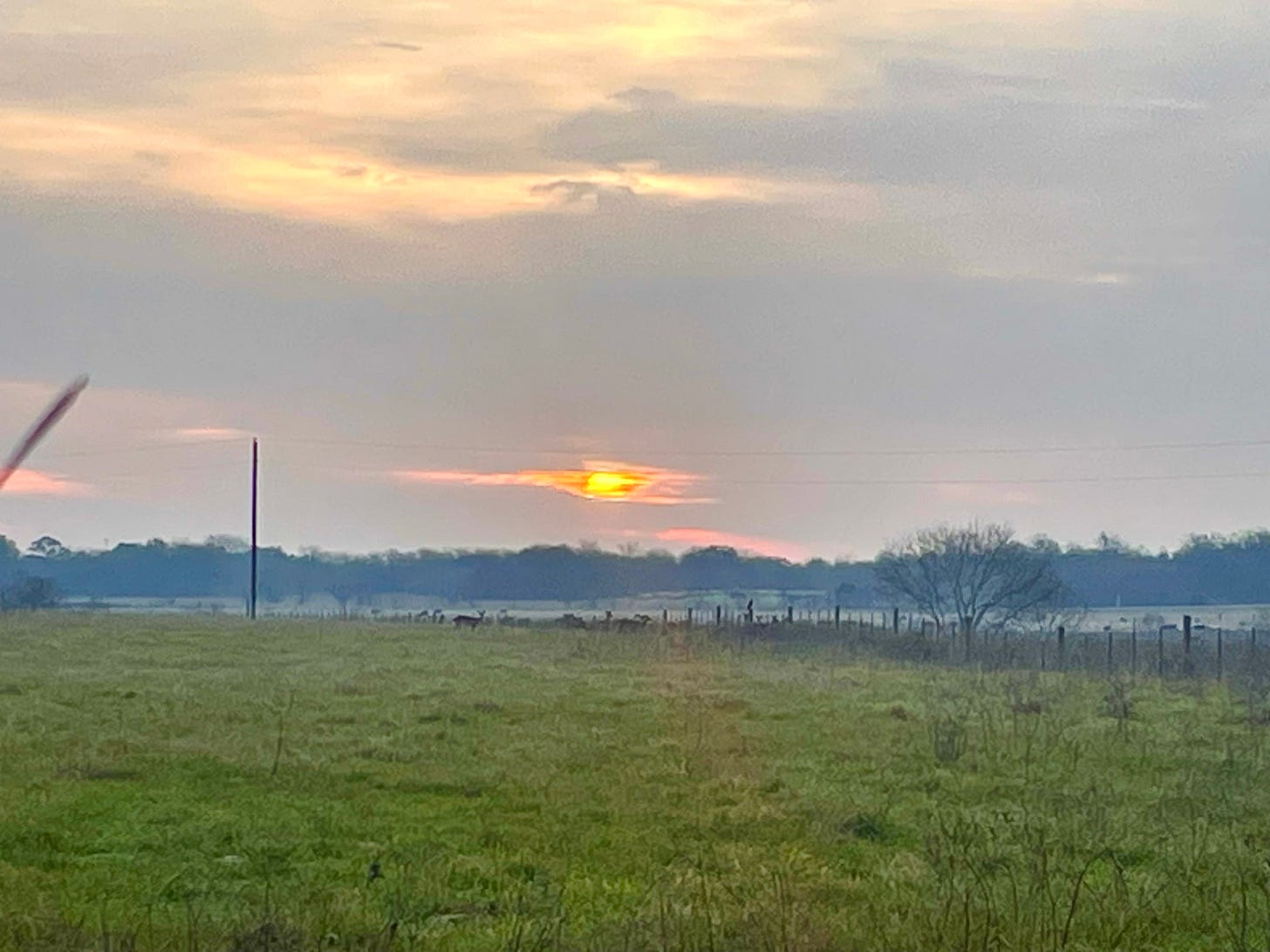Authors photo of a cloudy sunrise.