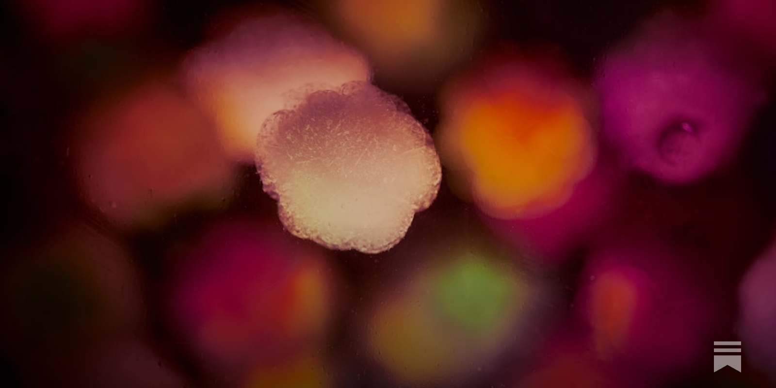 If GLP-1 Drugs Are Good For Everything, Should We All Be on Them?