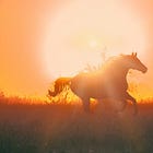 How to Channel Fire Horse Energy on Substack in 2026