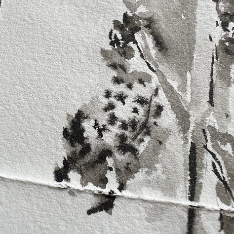 three closeups of a a black and gray painting of a conifer tree