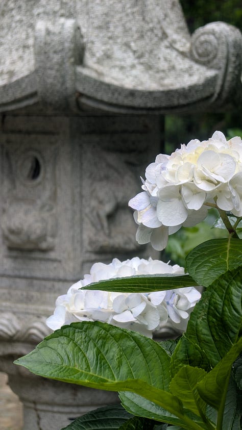 photos d'un torii blanc et de rochers attachés par une corde, d'un plat de ramen japonais, d'une lanterne avec un hortensia et d'un café traditionnel.