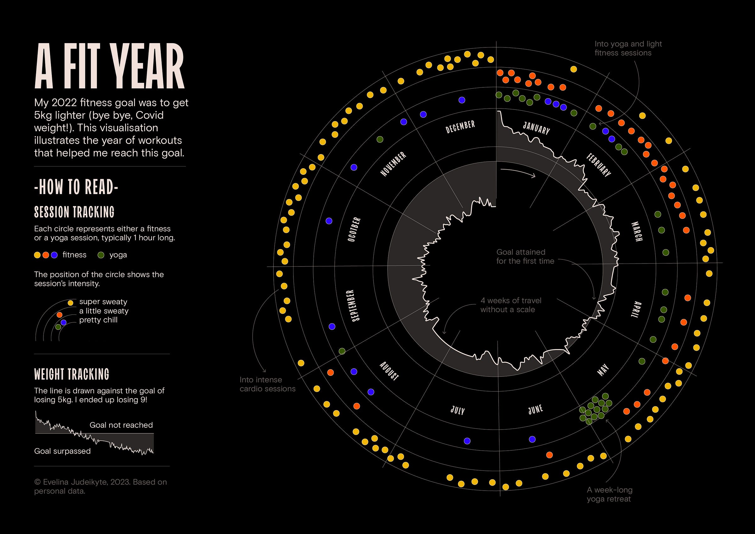 A poster showing the number of fitness and yoga sessions I did in 2022 (169 in total!) and their intensity.