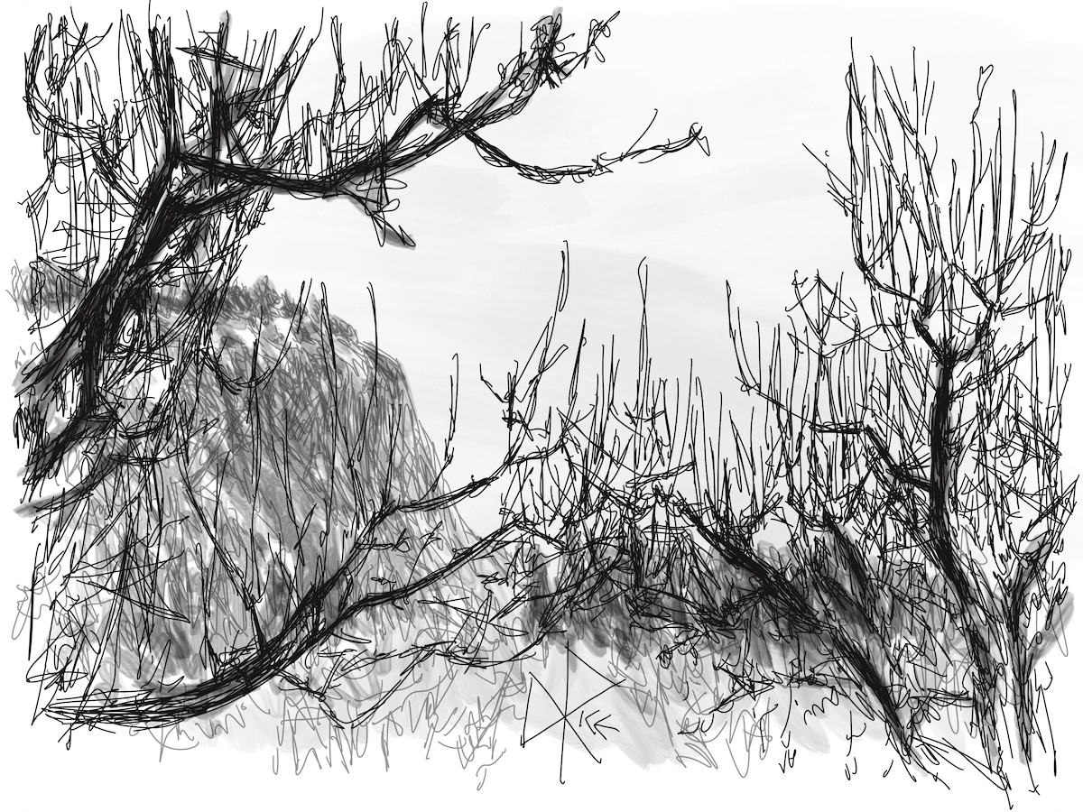 The bare limbs of several dormant apple trees partially obscure the mountain and trees in the far background. Sketch art by Don Rice.