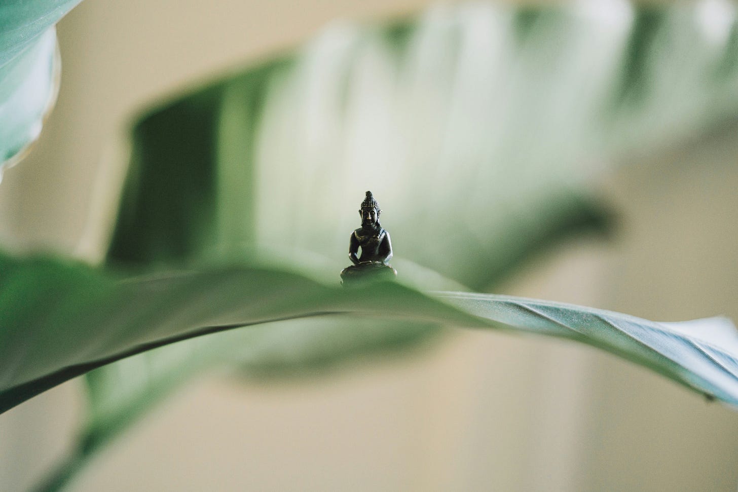 Tiny Buddha sculpture resting on top of a leaf with more leaves in the background.