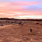 How I decide whether to let my dog off leash